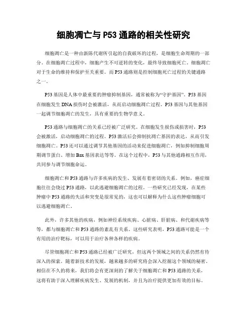 细胞凋亡与P53通路的相关性研究