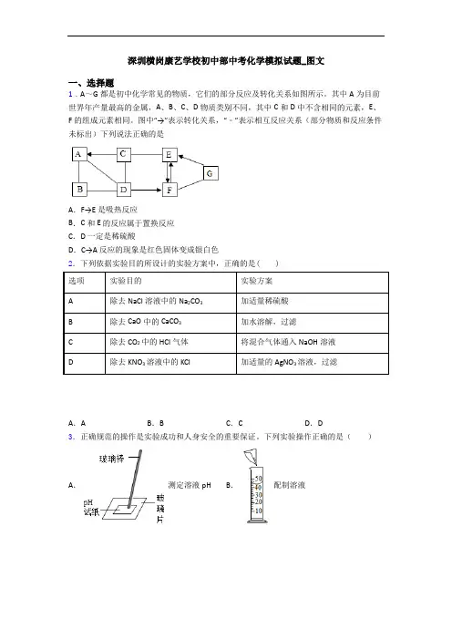 深圳横岗康艺学校初中部中考化学模拟试题_图文