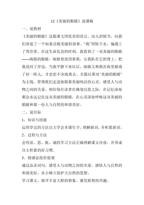 12    美丽的眼睛