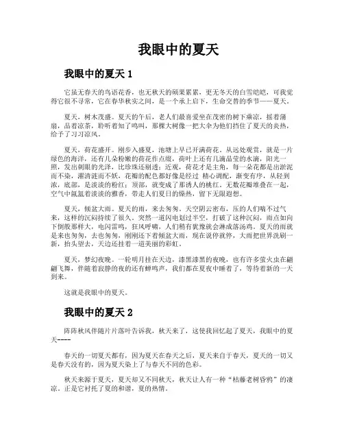 我眼中的夏天