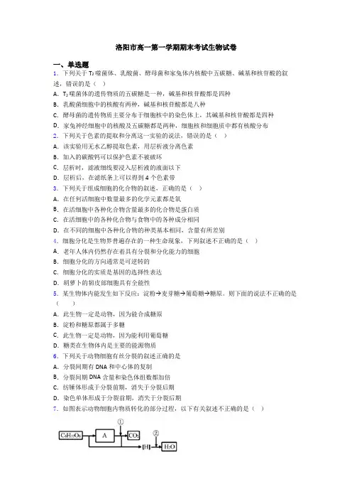 洛阳市高一第一学期期末考试生物试卷