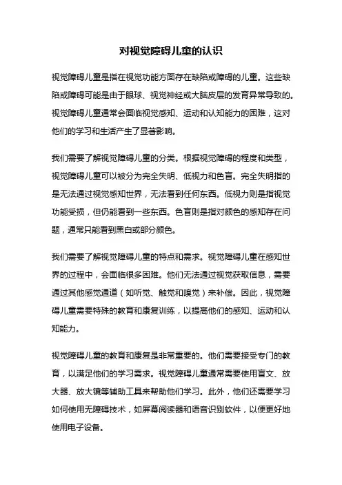 对视觉障碍儿童的认识