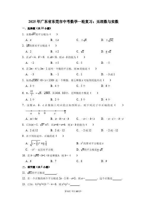2025年广东省东莞市中考数学一轮复习：无理数与实数(附答案解析)