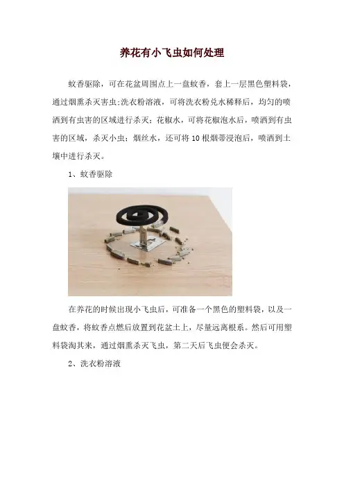 养花有小飞虫如何处理