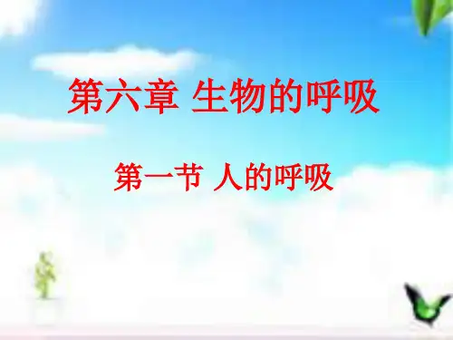 《第一节 人的呼吸》 课件