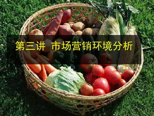 第三讲 园艺产品市场营销环境分析