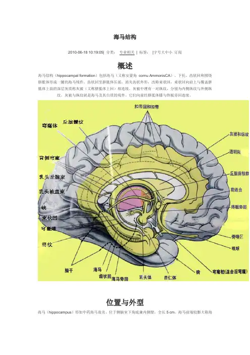 海马结构