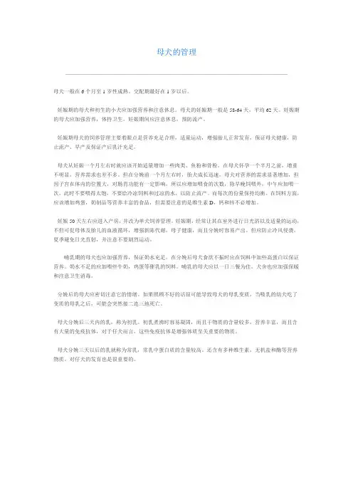 母犬的管理