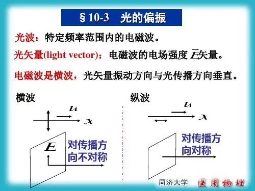偏振光PPT课件