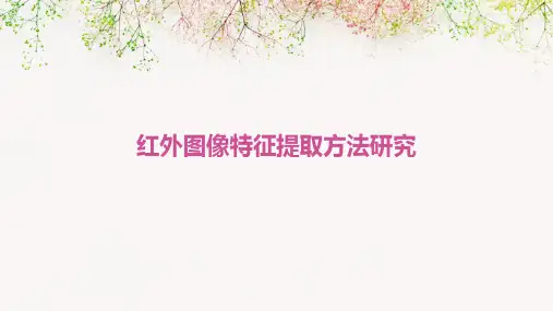 红外图像特征提取方法研究