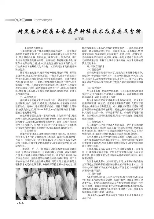 对黑龙江优质玉米高产种植技术及其要点分析