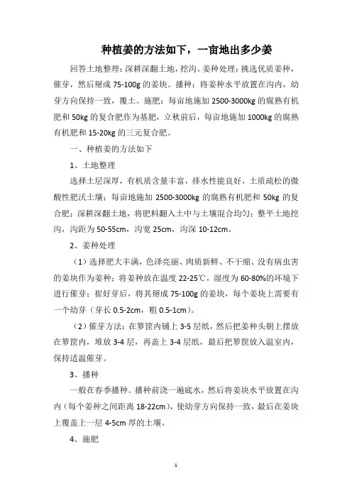 种植姜的方法如下,一亩地出多少姜