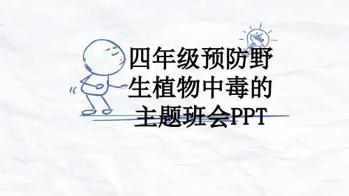 四年级预防野生植物中毒的主题班会PPT
