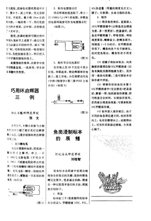 鱼类浸制标本的展鳍