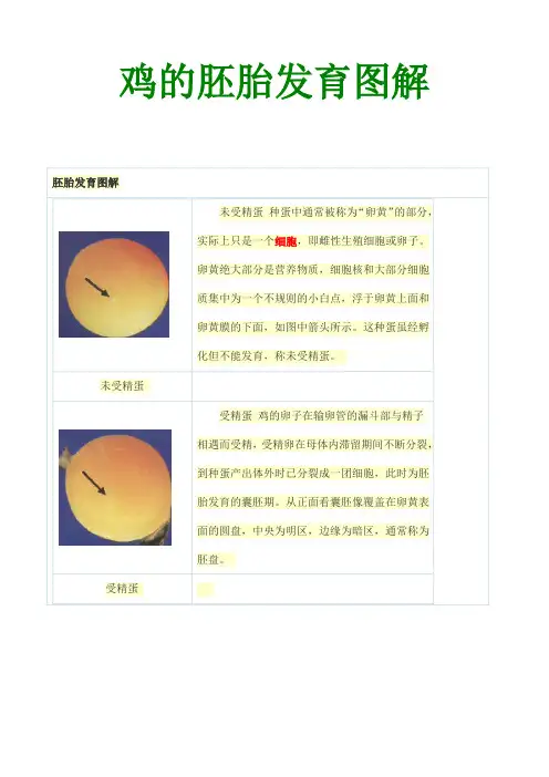 2011年养鸡与鸡病最新知识整理 (8)