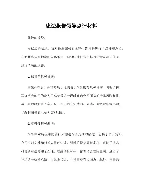 述法报告领导点评材料