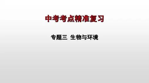 2023年中考生物全考点精讲课件--  生物与环境