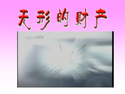 无形财产智力成果及财务知识分析含义(PPT 34页)