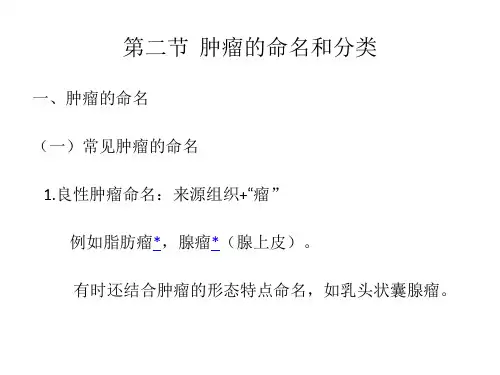 第五章肿.ppt课件