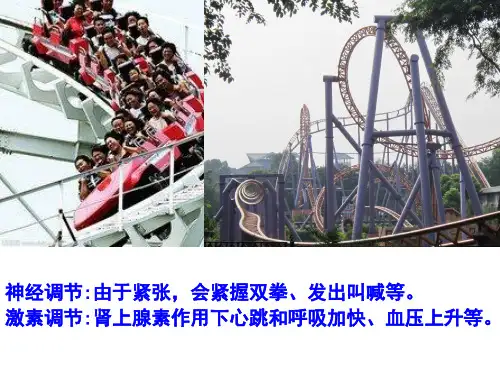 神经调节与体液调节的关系PPT通用课件.pptx