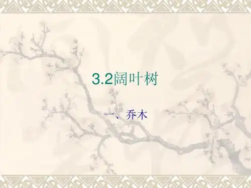阔叶树