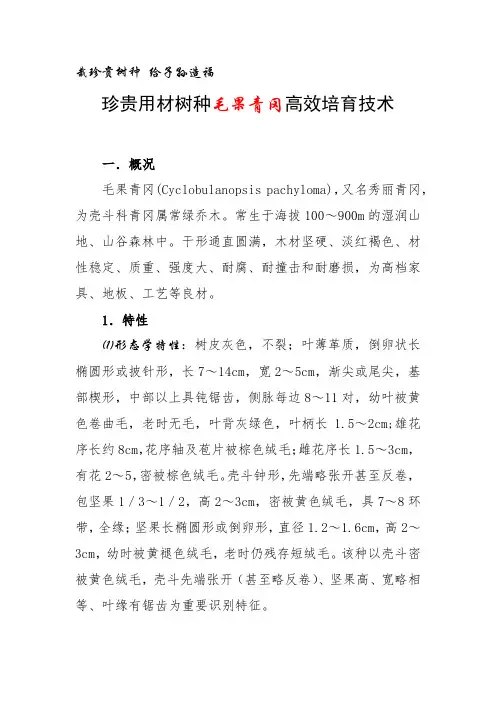栽珍贵树种 给子孙造福珍贵用材树种毛果青冈高效培育技术
