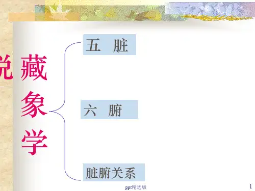 中医基础理论-脏腑学说ppt课件