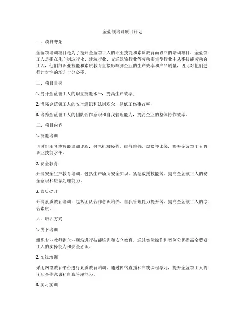 金蓝领培训项目计划