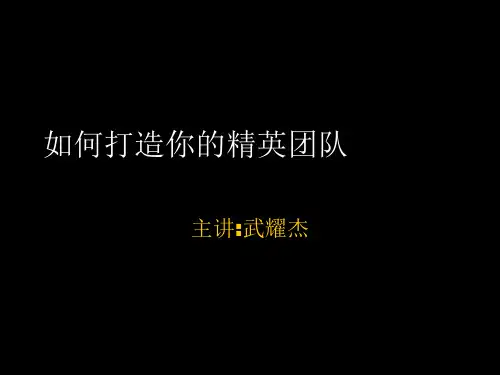 如何打造你的精英团队PPT(51张)