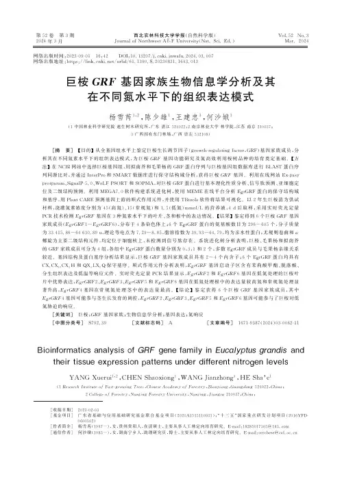 巨桉GRF基因家族生物信息学分析及其在不同氮水平下的组织表达模式