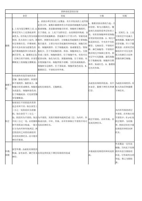 组织学：四种消化管的区别