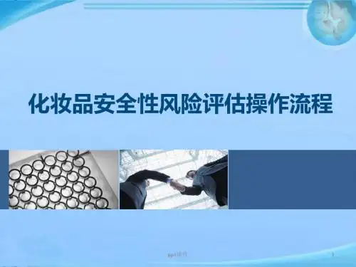 化妆品安全性风险评估操作流程  ppt课件