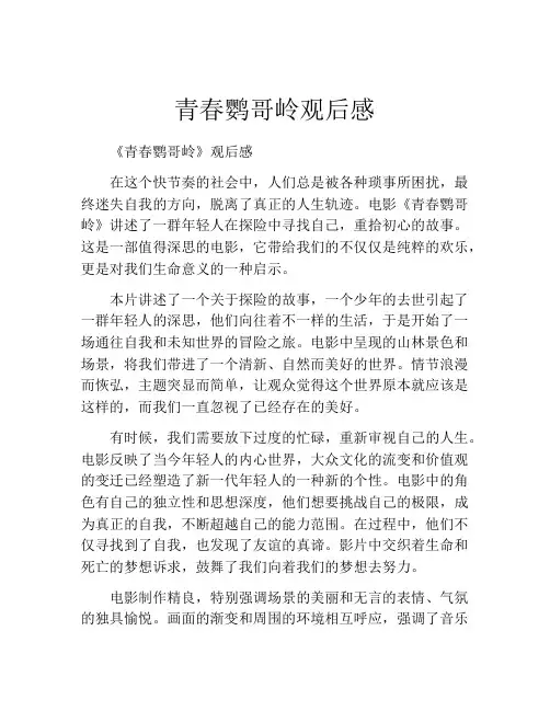 青春鹦哥岭观后感