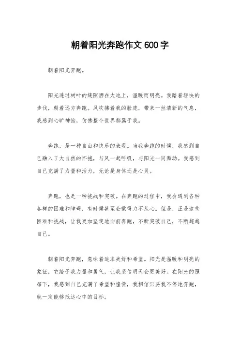 朝着阳光奔跑作文600字