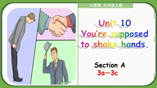 Unit 10 Section A(3a-3c)九年级全册英语教学课件(人教版)