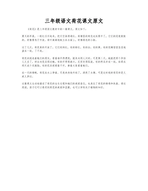 三年级语文荷花课文原文