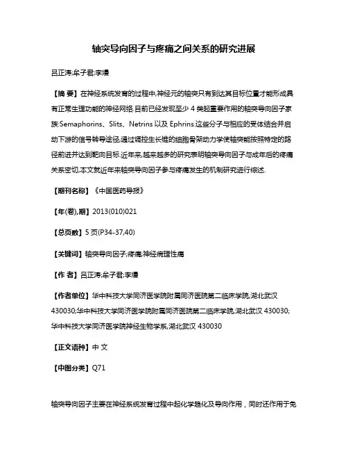 轴突导向因子与疼痛之间关系的研究进展
