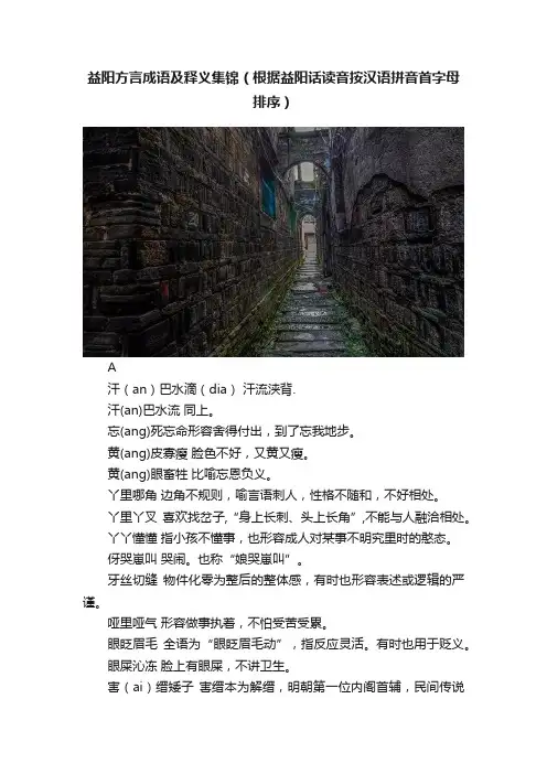 益阳方言成语及释义集锦（根据益阳话读音按汉语拼音首字母排序）