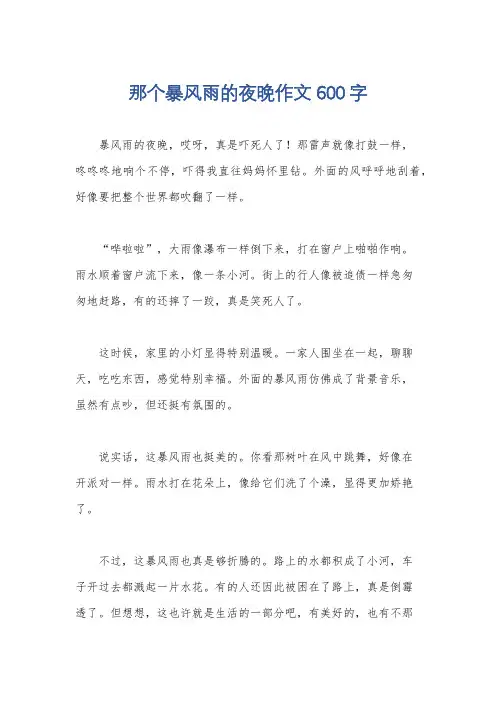 那个暴风雨的夜晚作文600字