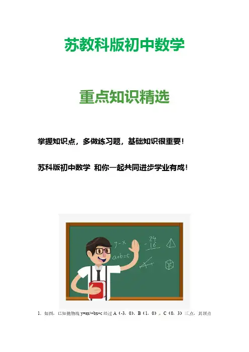 苏教科版初中数学九年级上册提优10