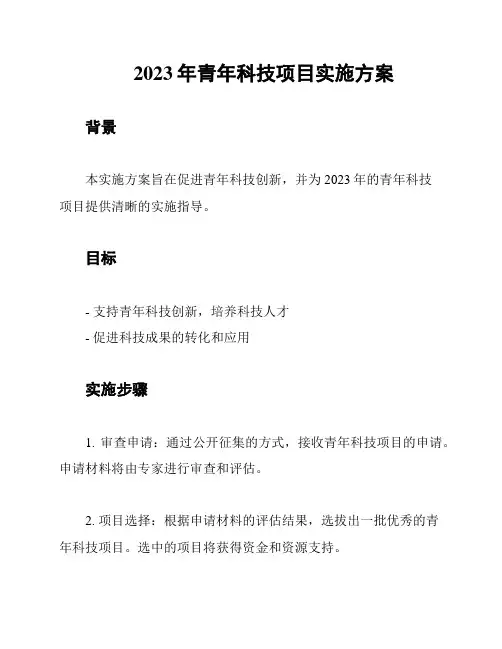 2023年青年科技项目实施方案