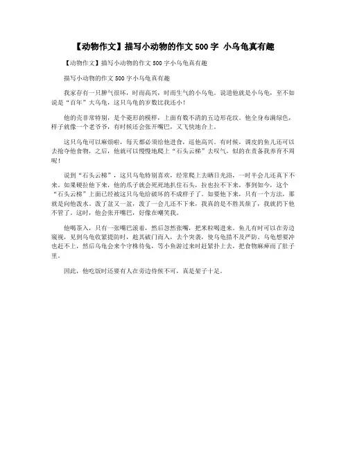 【动物作文】描写小动物的作文500字 小乌龟真有趣