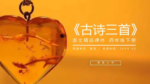 《琥珀》人教版四年级语文下册精品PPT课件