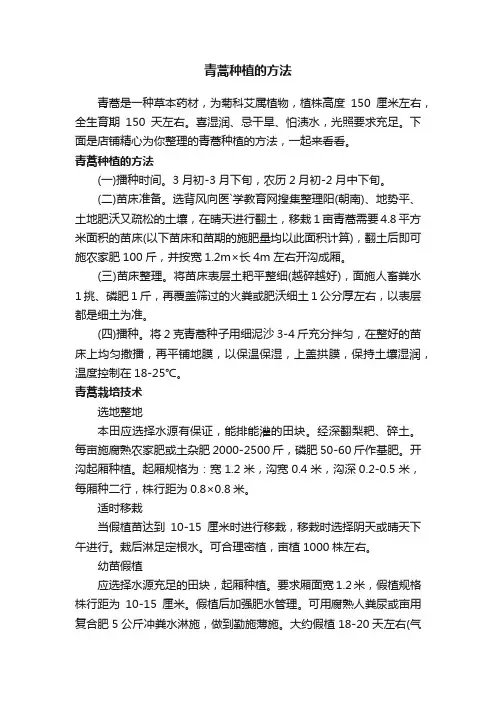 青蒿种植的方法