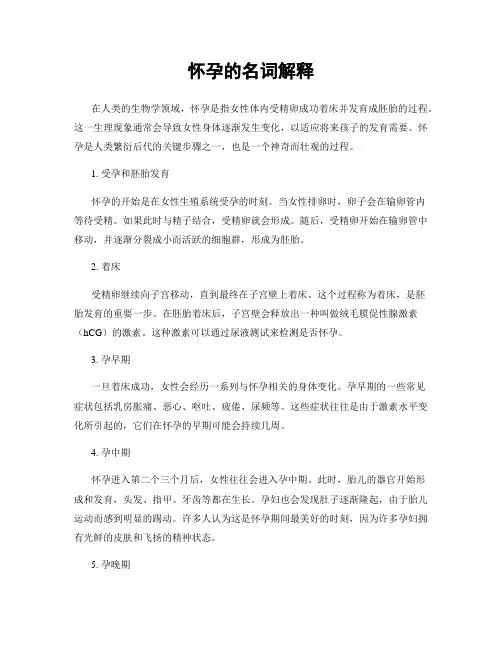 怀孕的名词解释