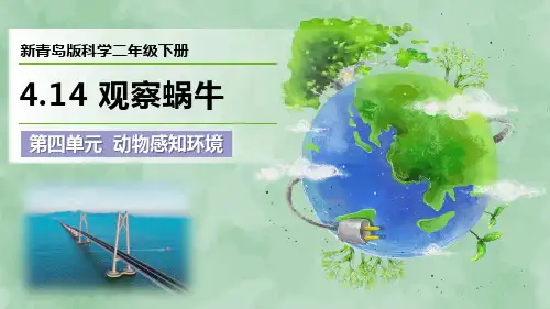 2024新青岛版科学二年级下册第四单元 动物感知环境《观察蜗牛》优质课件