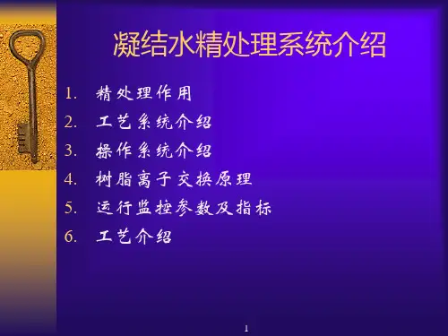 凝结水精处理系统简介讲解课件