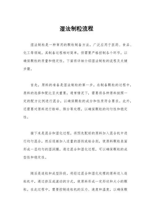 湿法制粒流程