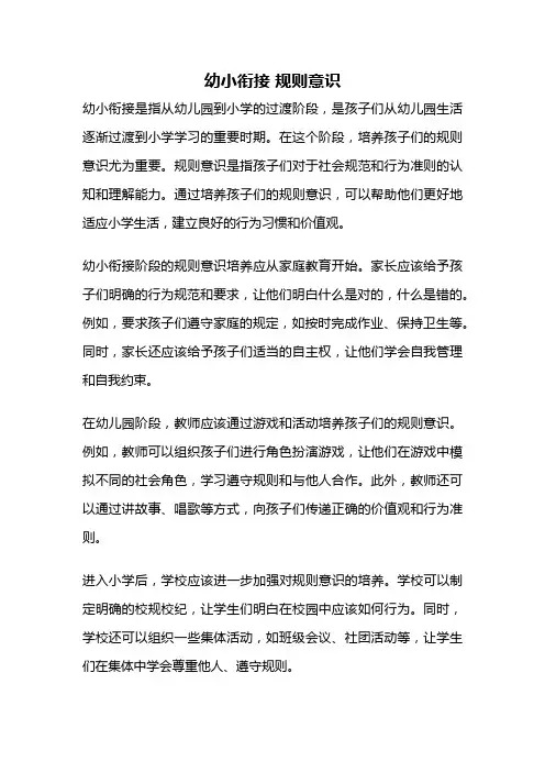 幼小衔接 规则意识