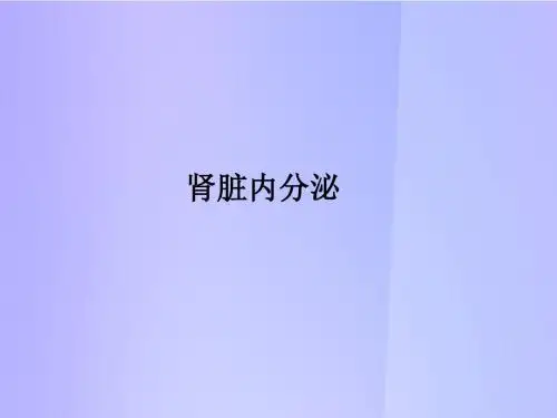 肾脏内分泌